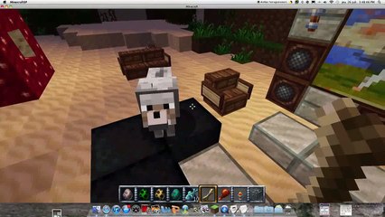 comment dresser les animaux minecraft[1]