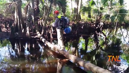 Fail Compilation January February 2015 || TNL