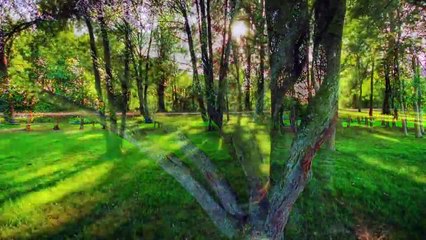 Licht Elane: A Rising Star in Music 🎶