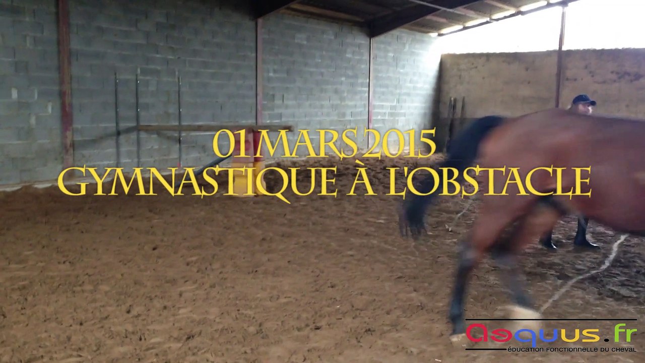 2015.03.01_gymobs_longe_1