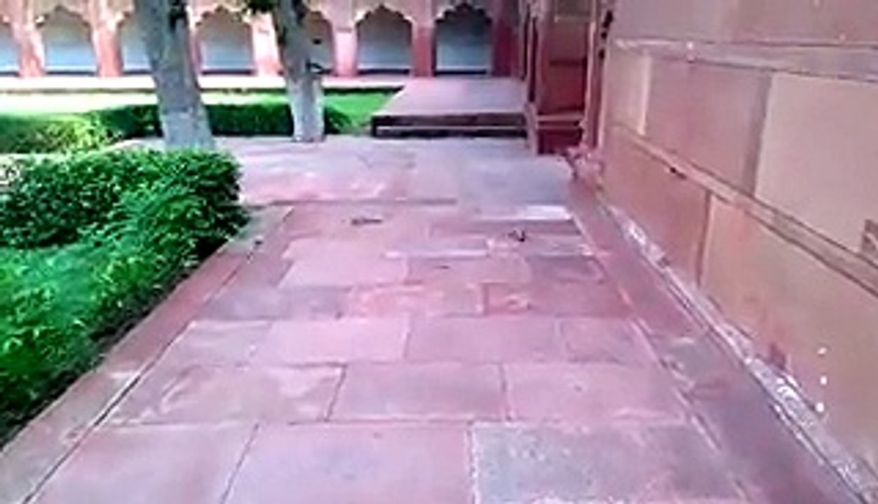 Chipmunk Surprises Camerman