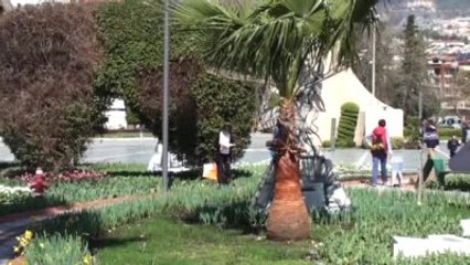 Alanya'daki Oryantiring Yarışları Sona Erdi