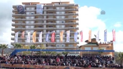 Altın Muz Deve Güreşleri Festivali