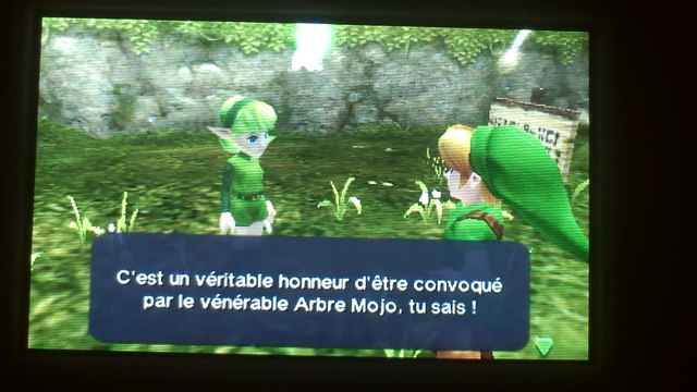 The Legend of Zelda : Ocarina of Time 3D - Link et Navi la stupide fée (Partie 1 )