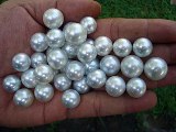 white south sea pearls wholesale whatsapp  6287865026222 Miss Joaquim Pearls Lombok Indonesia