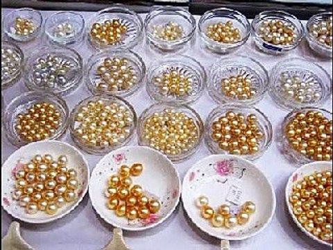gold south sea pearls wholesale whatsapp +6287865026222 Miss Joaquim Pearls Lombok Indonesia