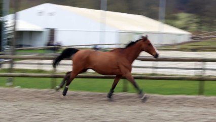 15-02-14 - Joyeuse St Valentin, mon LAS :) !