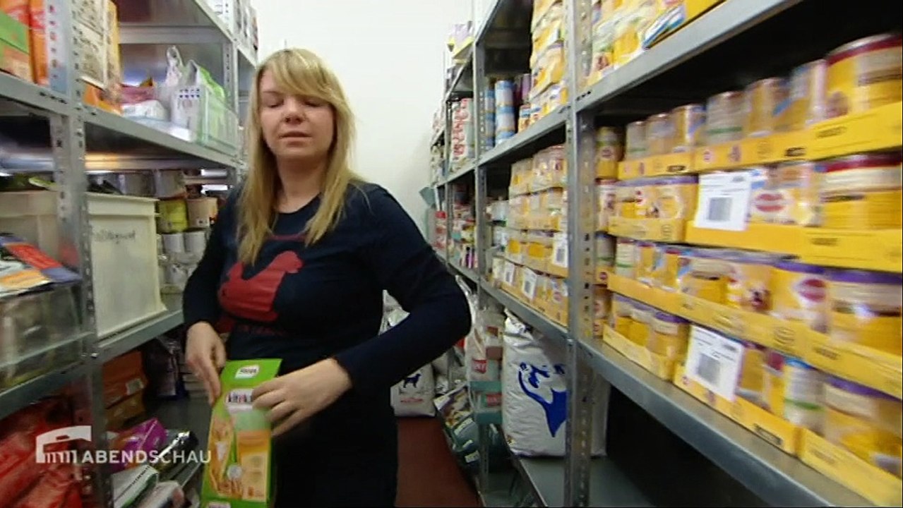 Abendschau-Serie Pro & Contra Hundestadt Berlin | Abendschau vom 28. Februar 2015