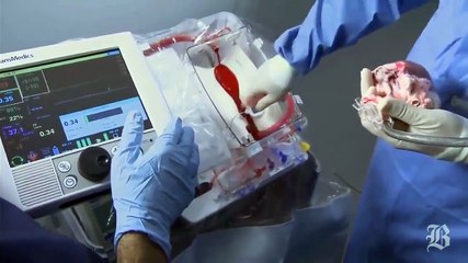 kalp nasıl çalışır buyurun izleyin