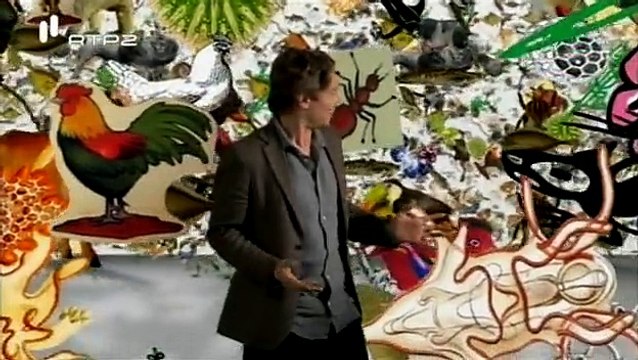 Espécies de Espécies - RTP2