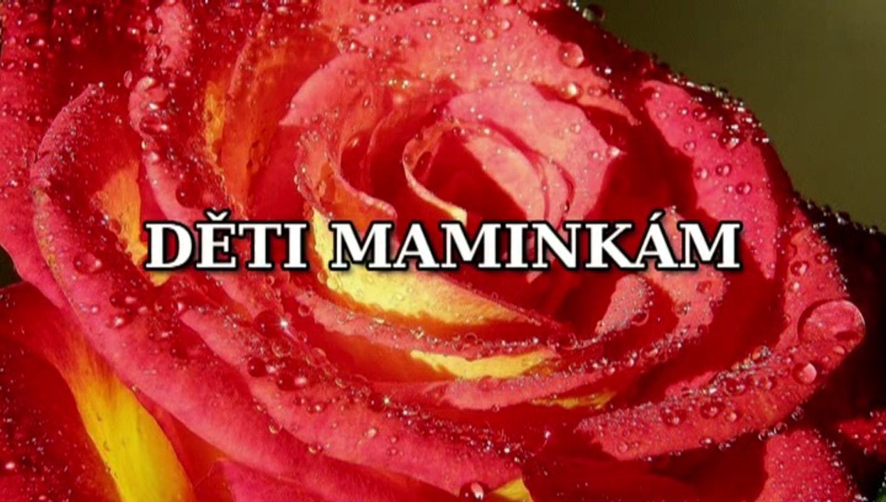 Den matek kino 2012