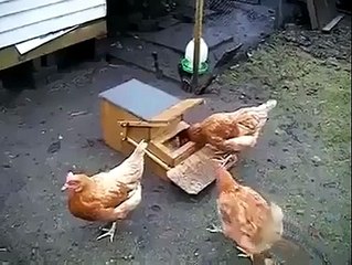 what an awesome idea.