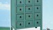 Banting 12-Drawer Distressed Green Apothecary Accent Chest