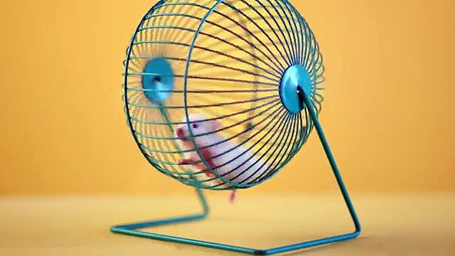 Berksan ft.Hande Yener - Haberi Var Mı (Offical Video)