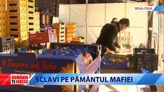 SCLAVI PE PAMINTUL MAFIEI ep.2.emisiunea ROMÂNIA TE IUBESC