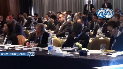 بالفيديو.. عبد النور: فرص استثمار مصر بالدول الأفريقية ستكون ناجحة جدا‎