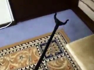 magic arm captured the funny cat (pet kitty animal video movie)