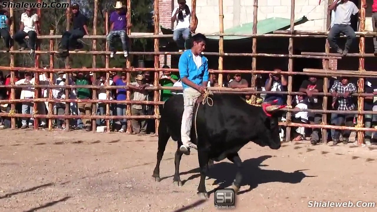 JARIPEO HD DE RANCHO EN EL PUEBLO SAN BALTAZAR YATZACHI EL BAJO OAXACA MEXICO 2015 FIESTA PATRONAL PARTE 3DE3