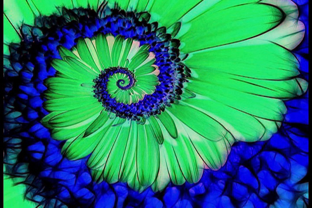 Music Therapy for Anxiety Relief, Stress Reduction, Calming, Sleep & Stress Release