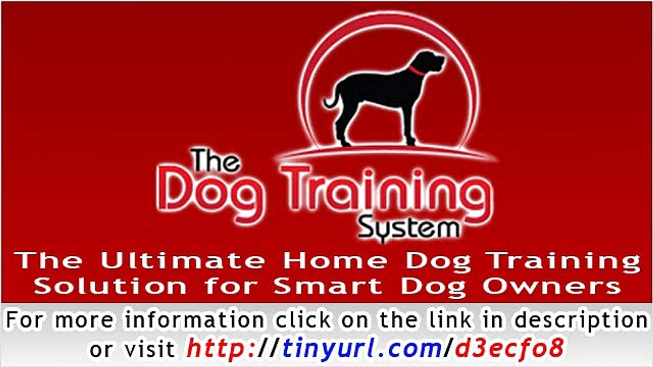 The Dog Training System - The Ultimate Home Dog Training Solution for Smart Dog Owners