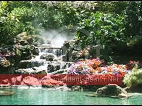 How To Lose Weight Fast 10 pounds in weeks