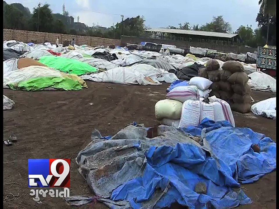 Unseasonal rains lash Gujarat; winter crops hit - Tv9 Gujarati