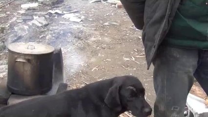 A Gnutovo, dans la zone crise entre les deux armées