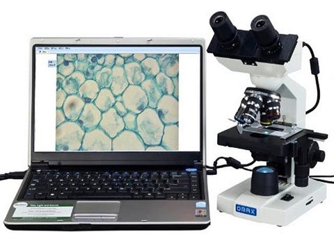 Top 5 Compound Microscopes to buy