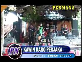 intan erlita KAWIN KARO PERJAKA live show Permana