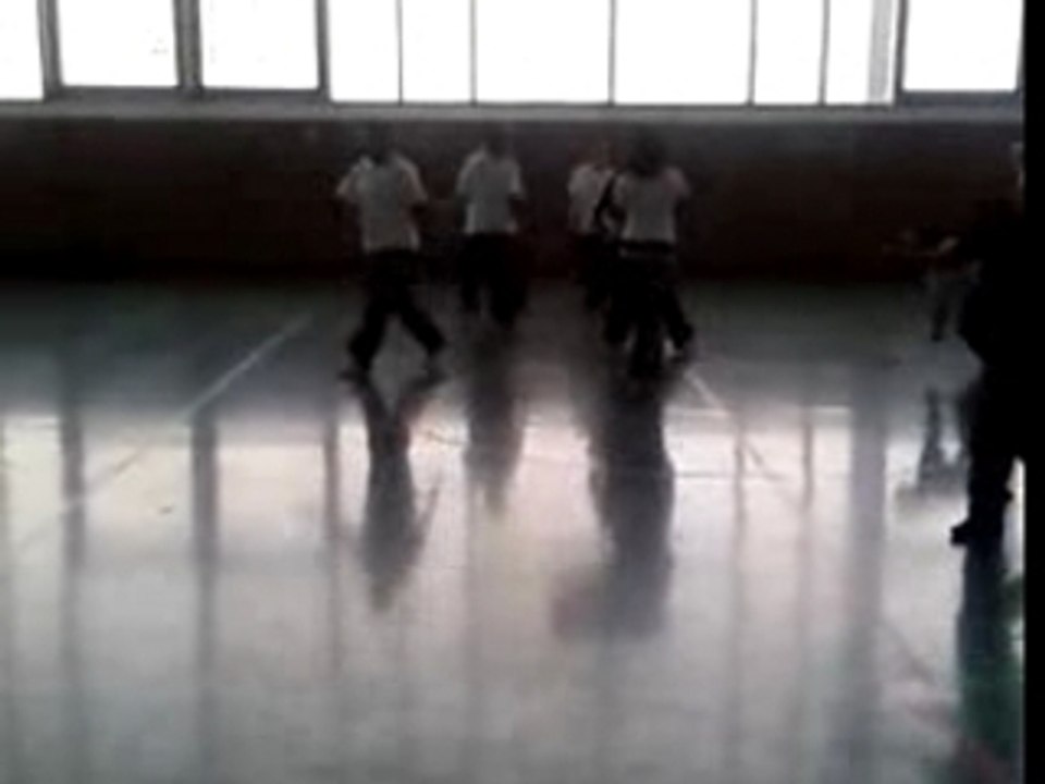 Danse(hip-hop)