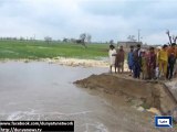 Dunya News- BAHAWALNAGAR:: Breach in canal submerged crops