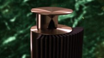 Bang & Olufsen : The Love Affair Collection - BeoLab 18
