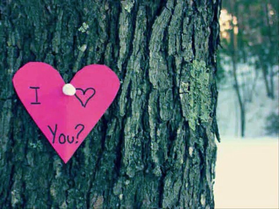 BEAUTIFUL SONG 2015