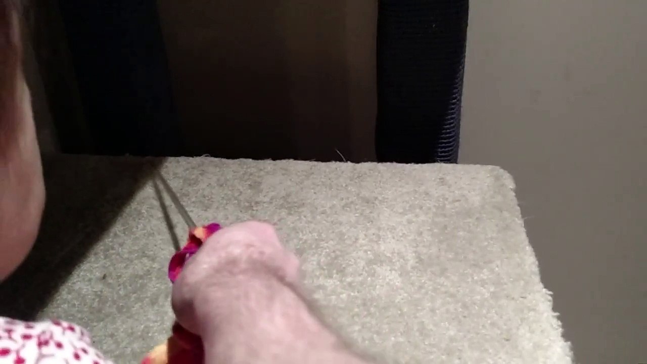 Playing peek a boo with Rocket
