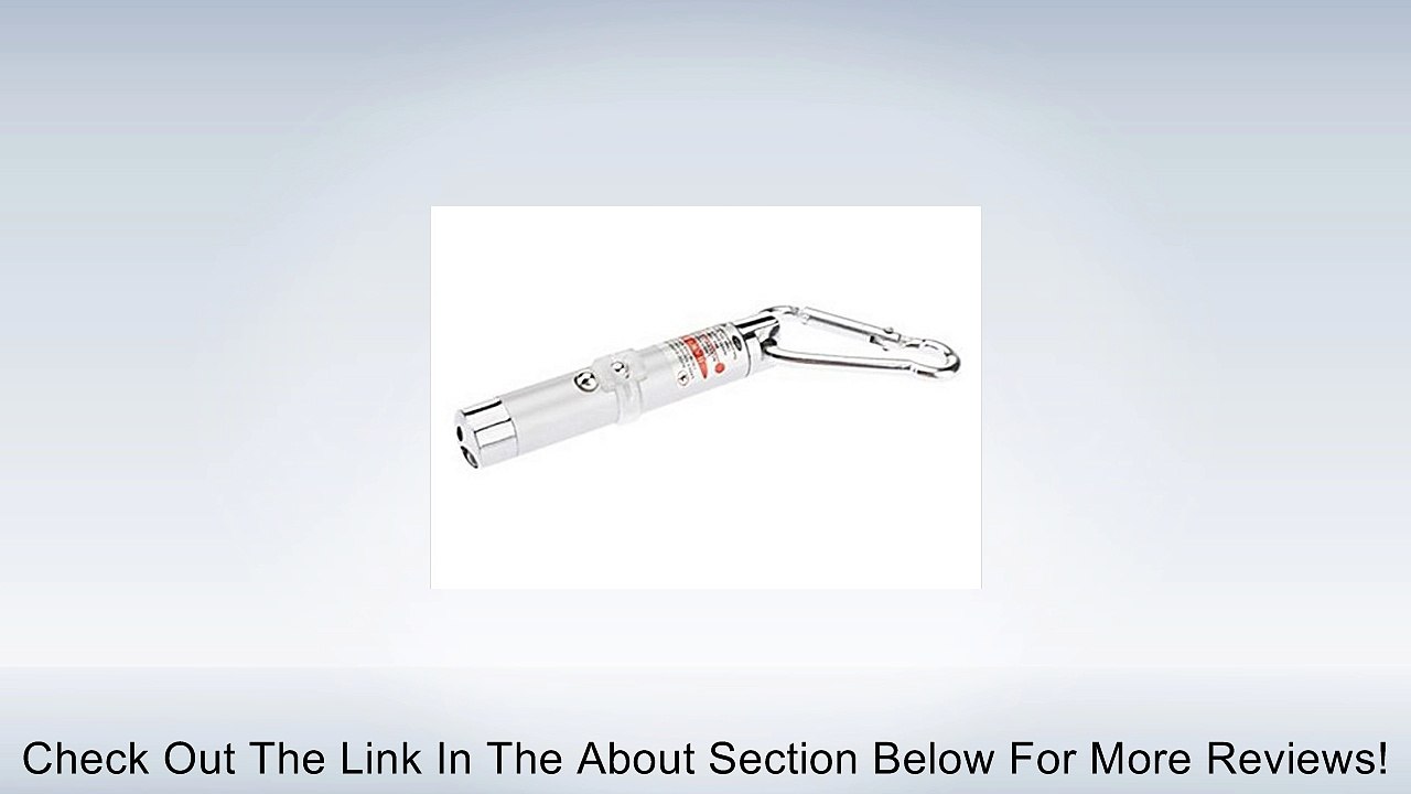 Interesting Interactive Laser Chase Teaser with Keychain Pointer for Dogs Cats Pets (Assorted Colors) Review