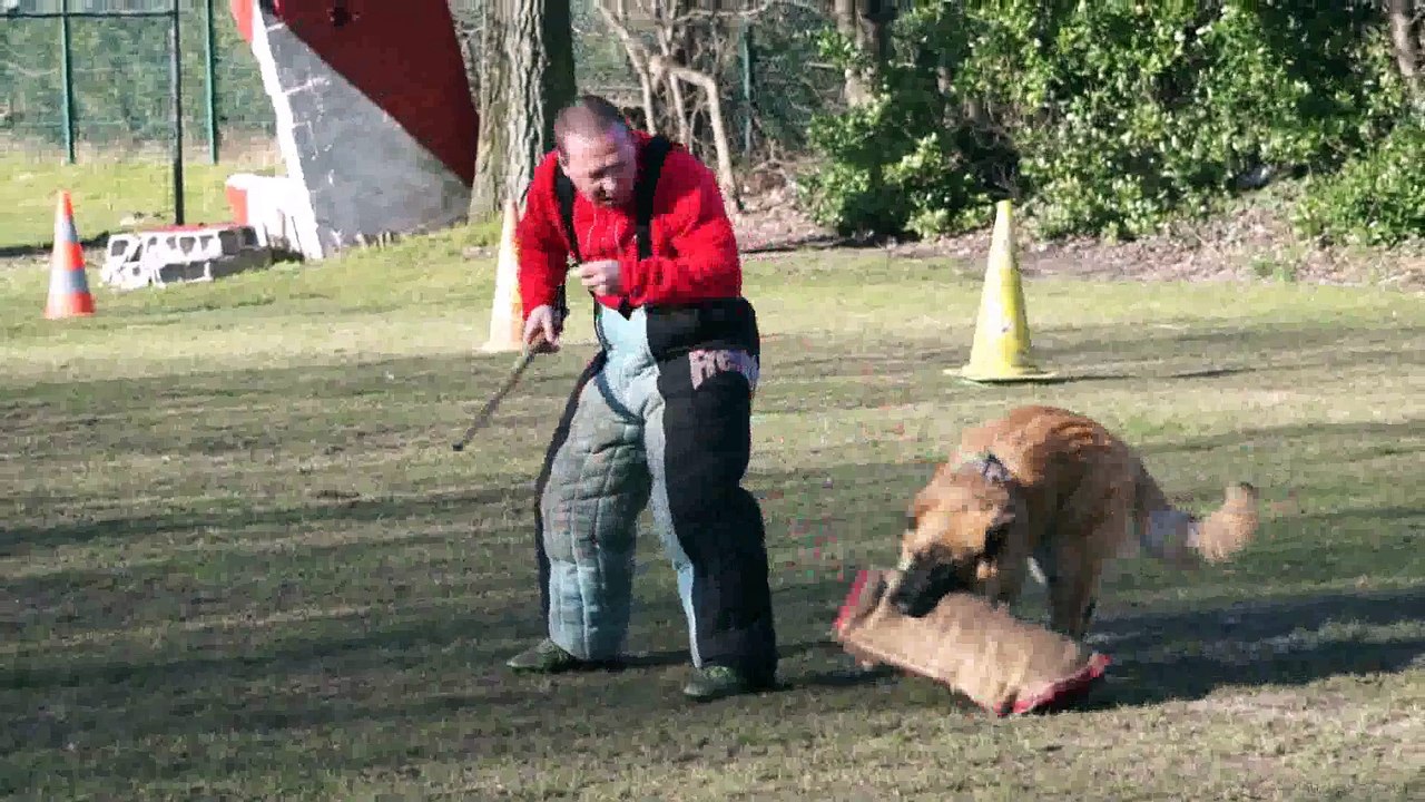 Jitan de la Vallée des Suessionnes