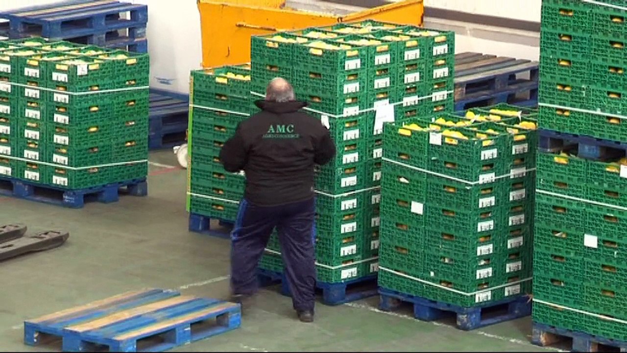 Opération Collective METEOR 2015 chez AMC AGRI COMMERCE