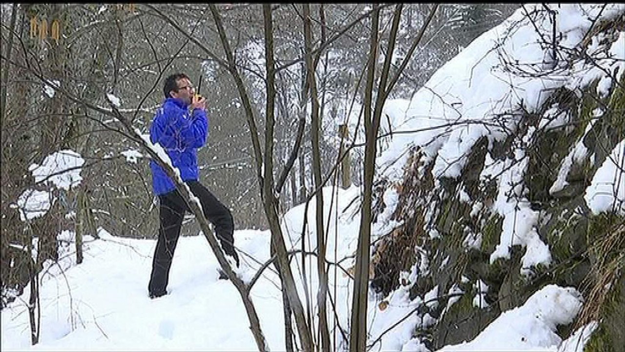 Risque d'avalanches maximal : une journée avec les CRS de la montagne - 01/03