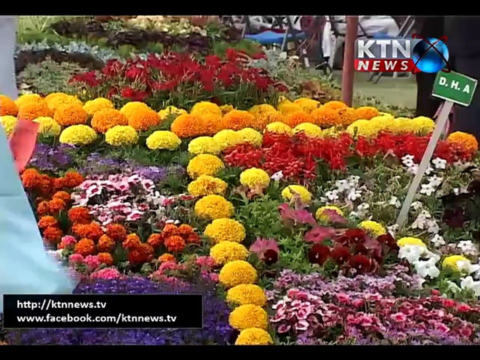 karachi flower show 2015