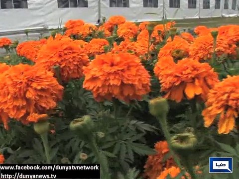 Dunya News - Heavy rain, winds across country turn weather cold