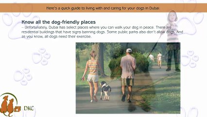 Learn Tips On Taking Care Of Your Dogs