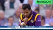 Top 12 Boundary line catches in T20 Cricket