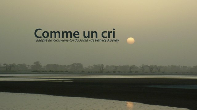 Theâtre : Comme un Cri mise en scène d'Amélie Armao avec Jean-Christian Leroy au théâtre des Déchargeurs Paris Chatelet en Mars