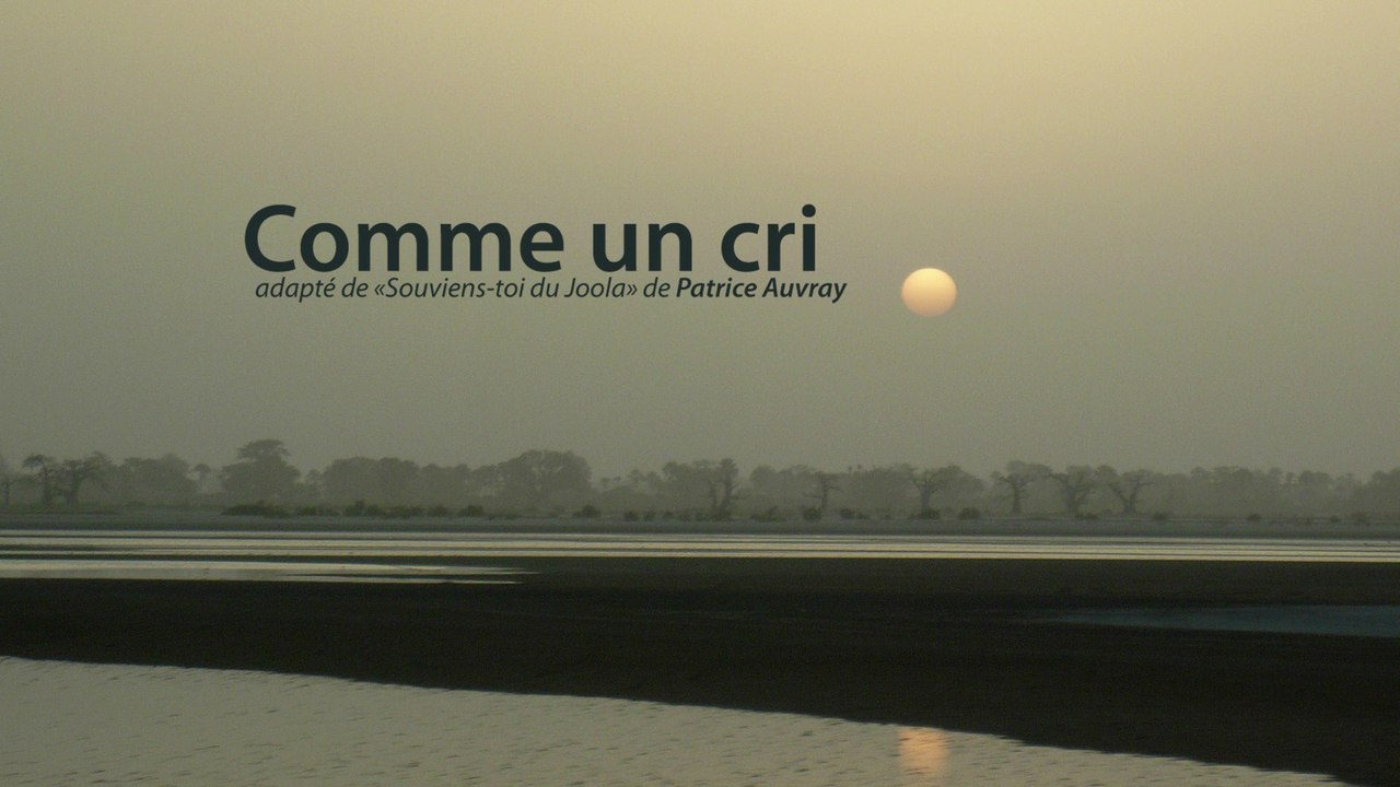 Theâtre :  "Comme un Cri " mise en scène d'Amélie Armao avec Jean-Christian Leroy au théâtre des Déchargeurs Paris Chatelet en Mars