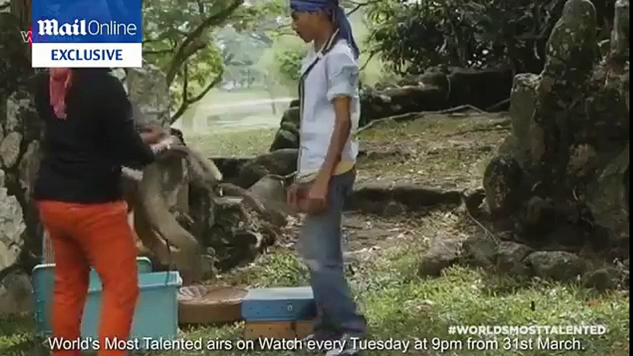 man kisses a king cobra snake