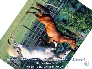 Jean-Pierre Chery retrospective vidéo