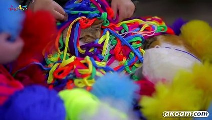 كليب خيطان الصوف 2015 - رنده صلاح - قناة كراميش