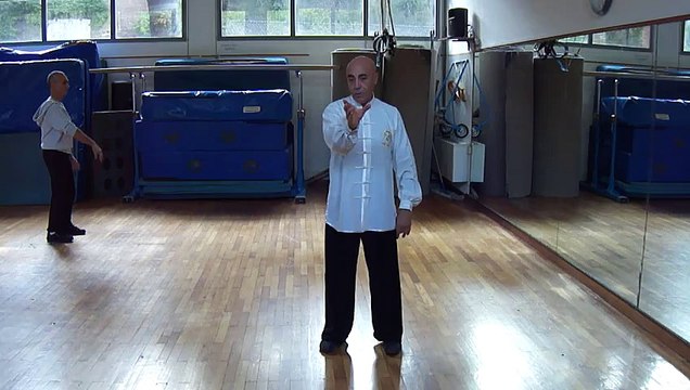 TAIJI QUAN A ROMA: IL MOVIMENTO GENERATIVO DEL DRAGO - M° FLAVIO DANIELE