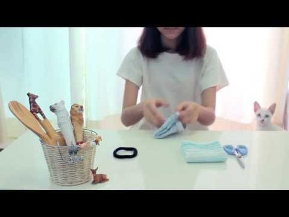 FOR OUR CAT ll pieandcha