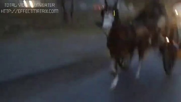 rawalpindi horse race(kabootar vs bhalli gori)winner shada king rawalpindi